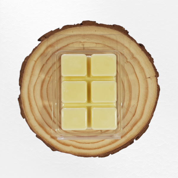 Clamshell - Reina de la noche